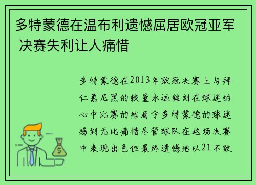 多特蒙德在温布利遗憾屈居欧冠亚军 决赛失利让人痛惜